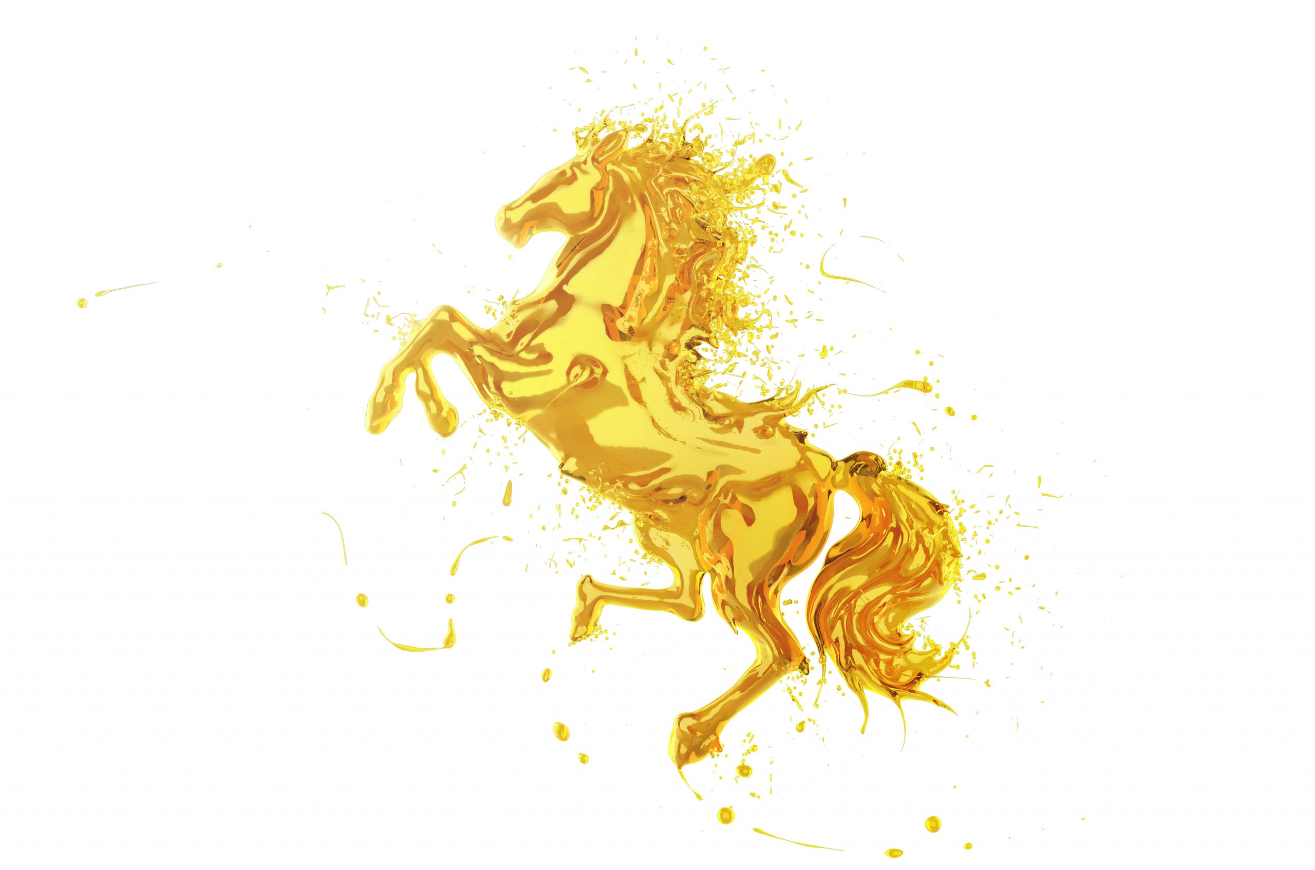 Oil in the Equine Diet Horsepower